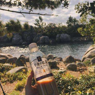 金沙集团9500官网app下载