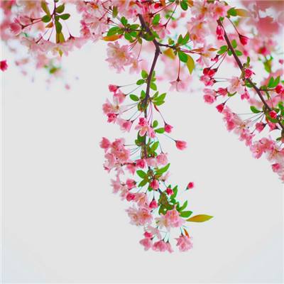 196娱乐平台下载截图